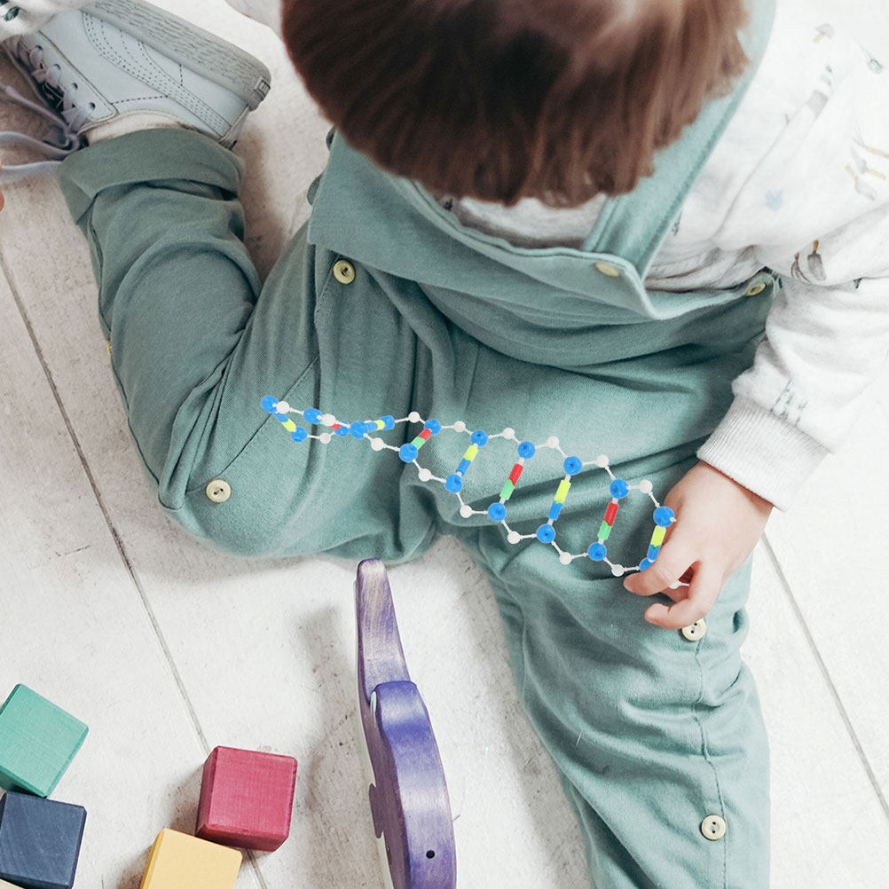 2Pcs Dna Double Helix Structur - Science Kit のレビューと価格