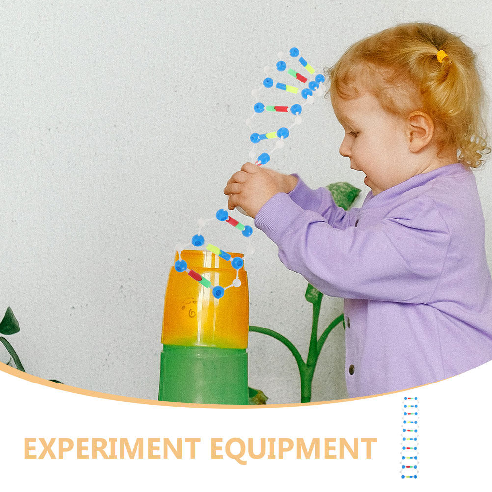 2Pcs Dna Double Helix Structur - Science Kit のレビューと価格