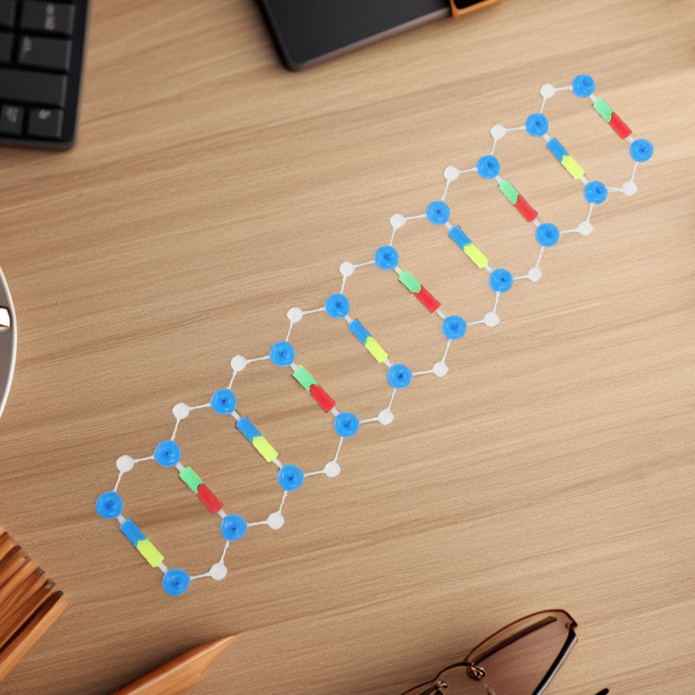 2Pcs Dna Double Helix Structur - Science Kit のレビューと価格
