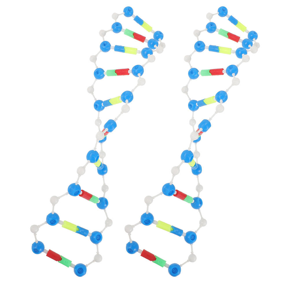 2Pcs Dna Double Helix Structur - Science Kit のレビューと価格
