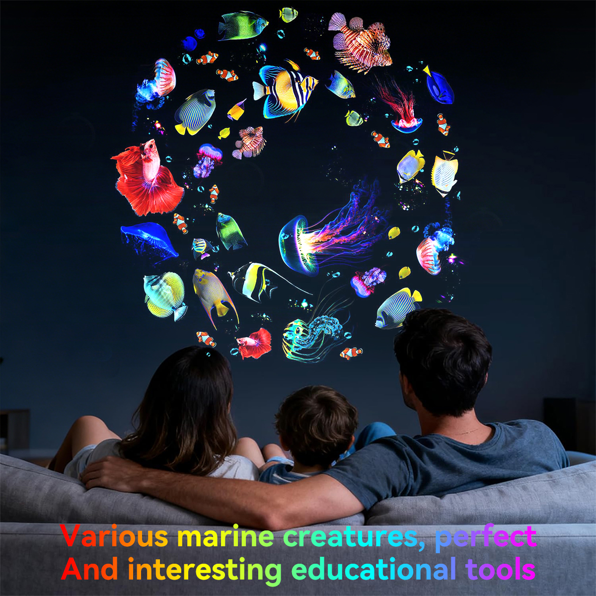 Galaxy Projector LED Night Lig - Planetarium Projector Home のレビューと価格