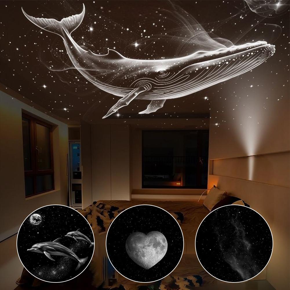 Slide Discs for Star Projector - Planetarium Projector Home のレビューと価格