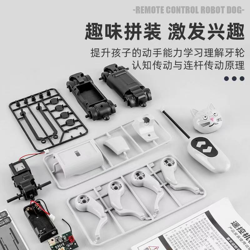Remote Control Diy Assembly Wa - Is Learning Science A Hobby のレビューと価格