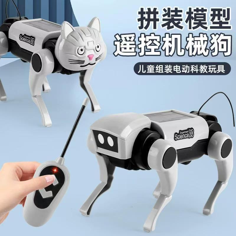 Remote Control Diy Assembly Wa - Is Learning Science A Hobby のレビューと価格
